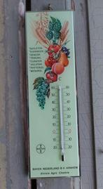 Vintage reclame thermometer van Bayer Nederland fruitdecor, Verzamelen, Ophalen of Verzenden, Zo goed als nieuw, Overige typen