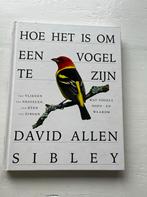 Hoe het is om een vogel te zijn - David Allen Sibley, Boeken, Ophalen of Verzenden, Gelezen, Vogels