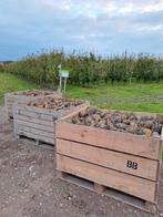 Hardhouten Enten Appelhout Haardhout, Ophalen