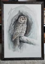 Aquarel bosuil (Hans J. Geuze, wildlife-artist/bioloog), Ophalen