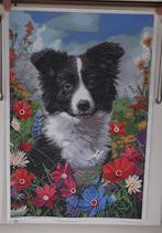 diamond painting Bordercolly 40x60cm (kant en klaar), Ophalen, Nieuw, Knutselwerk