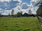 Stalling voor 1 D- pony op privé stal, Dieren en Toebehoren, Stalling en Weidegang, Stalling, 1 paard of pony