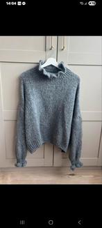 Super leuke ambika trui, Ophalen of Verzenden, Zo goed als nieuw