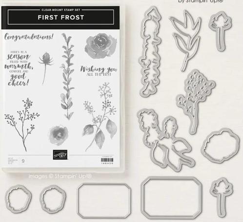 Stampin' Up! bundel First Frost, Hobby en Vrije tijd, Kaarten | Zelf maken, Gebruikt, Overige typen, Natuur, Ophalen of Verzenden