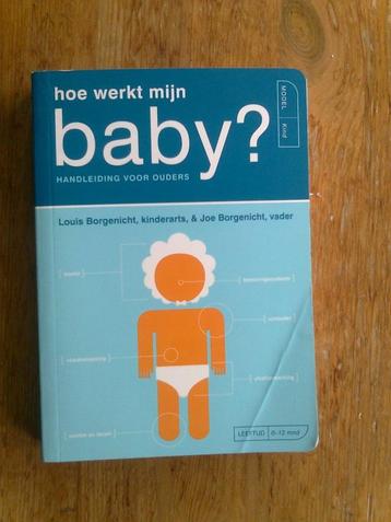 Hoe werkt mijn baby?  door Louis Borgenicht beschikbaar voor biedingen