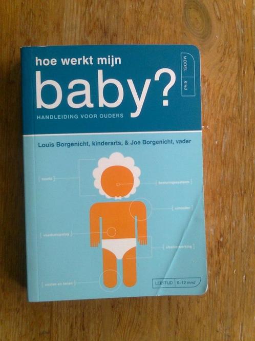 Hoe werkt mijn baby?  door Louis Borgenicht, Boeken, Zwangerschap en Opvoeding, Opvoeding tot 6 jaar, Ophalen of Verzenden