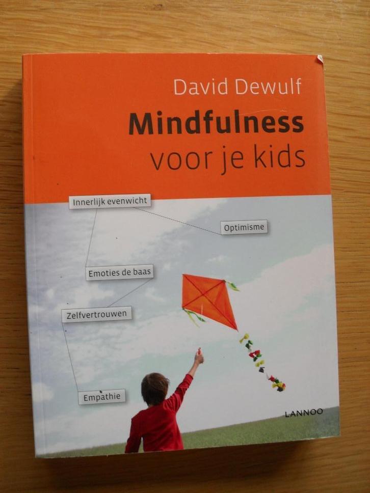Mindfulness voor je kids van David dewulf, Boeken, Overige Boeken, Gelezen, Ophalen of Verzenden