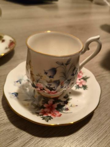 Royal Albert Bone China Kop en Schotel beschikbaar voor biedingen