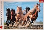 Paarden Puzzel 1000 Stukjes - Zo Goed Als Nieuw, Ophalen of Verzenden, 500 t/m 1500 stukjes, Zo goed als nieuw, Legpuzzel