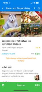 Dag uitstapje, Tickets en Kaartjes, Drie personen of meer, Ticket of Toegangskaart