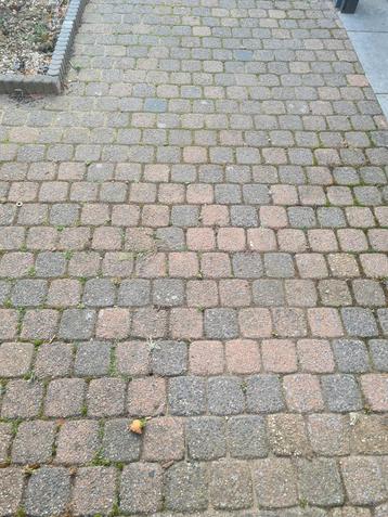 ongeveer 25 m2 gebruikte Klinkers - Tuintegels beschikbaar voor biedingen