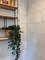 Tegels voor badkamer, toilet of keuken, Ophalen, Zo goed als nieuw, 20 tot 40 cm, Wandtegels