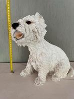 West Highland Terrier Beeld Leonardo Collectie 2000, Ophalen of Verzenden, Zo goed als nieuw