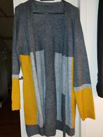Lekker warm vest maat 40. Nieuw., Ophalen of Verzenden, Zo goed als nieuw, Maat 38/40 (M)
