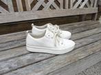 Wit leren sneakers gympen Timberland maat 40, Wit, Ophalen of Verzenden, Timberland, Sneakers of Gympen