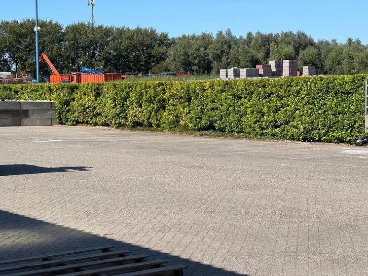 Parkeerterrein te huur, Zakelijke goederen, Bedrijfs Onroerend goed, Parkeerplaats, Huur