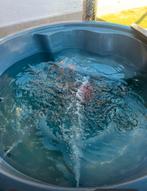 Vakantie deal! Luxe Houtgestookte Hottub, Tuin en Terras, Bubbelbaden en Hottubs, ., Grondzeil, Ophalen of Verzenden, Zo goed als nieuw