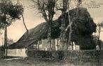 Peize - Straatweg, Verzamelen, Ansichtkaarten | Nederland, Ophalen of Verzenden, 1940 tot 1960, Gelopen, Drenthe