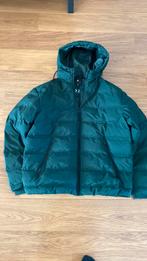 Winterjas groen, H en M maat L, Ophalen of Verzenden, Nieuw, Groen