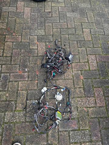 Vespa Kabelboom  4Klepper - Ongeknipt beschikbaar voor biedingen