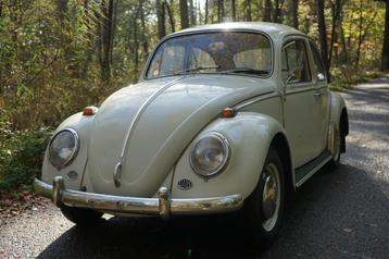 Volkswagen Kever 1300 uit 1966 beschikbaar voor biedingen
