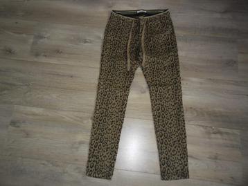 Summum Woman Bruine Panterprint Broek Rekbare Band Maat 36 beschikbaar voor biedingen