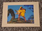 litho Disney Tarzan Jane Pocahontas Meeko Percy, Ophalen of Verzenden, Pocahontas of Kl. Zeemeermin, Nieuw, Plaatje of Poster