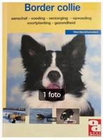 Border collie - Marcella Kauderer, Ophalen of Verzenden, Nieuw, Honden