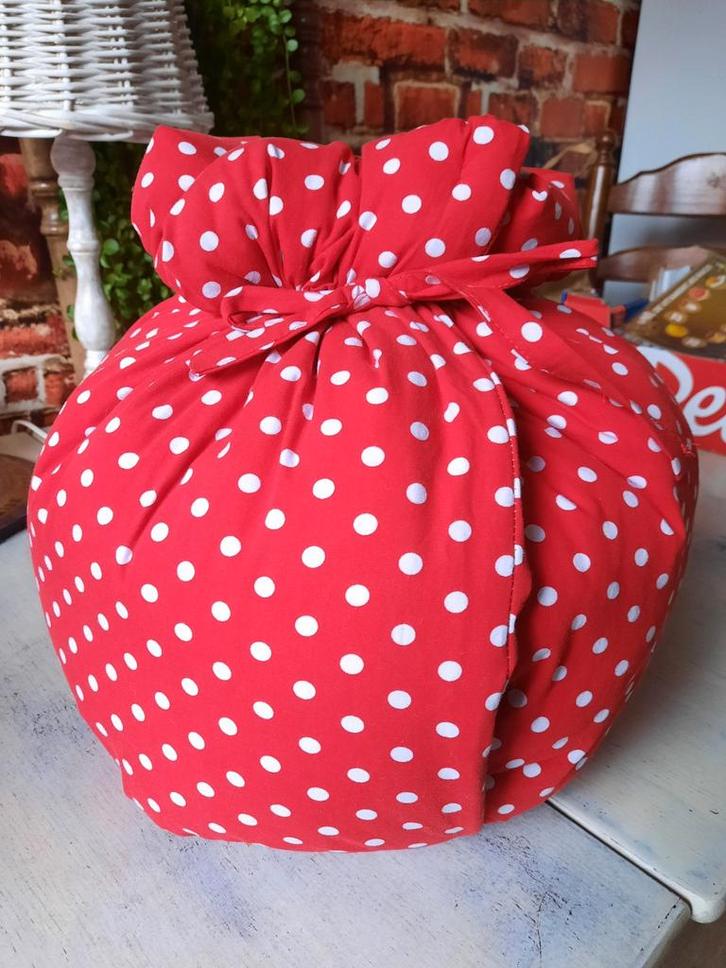 hooicooker stoofzak hooimadam yoghurtmaker slow cooker rdstp, Huis en Inrichting, Keuken | Keukenbenodigdheden, Nieuw, Ophalen of Verzenden