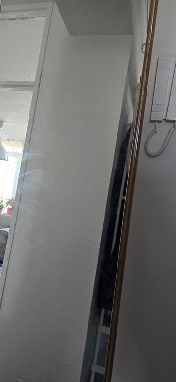 Gratis spiegeldeuren 2 stuks 50x190cm