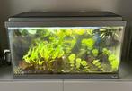 Aquarium 60x30x30 cm, Dieren en Toebehoren, Vissen | Aquaria en Toebehoren, Ophalen, Gebruikt, Leeg aquarium