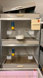 2 broedkooien Gehu incl tropennestkast, Dieren en Toebehoren, Ophalen, Zo goed als nieuw, Hout, Broedkooi of Kweekkooi
