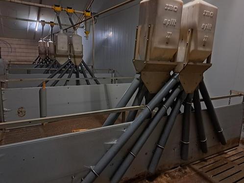 24 keer verdeelbak incl. buizen varkens opfok gedemonteerd, Dieren en Toebehoren, Dierenvoeding, Overige soorten, Ophalen
