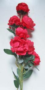 PRACHTIGE BLOEMSTEEL PIOENROZEN - ROOD, Ophalen of Verzenden, Nieuw