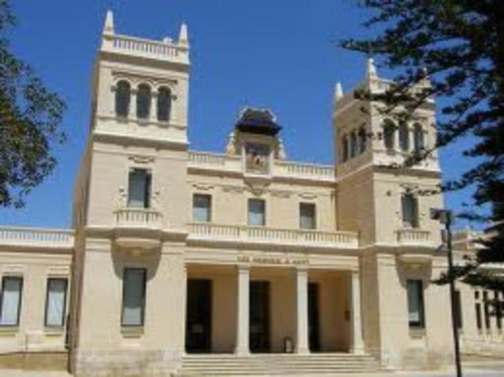 Visit Guide Museo Arqueologico ALICANTE (SPANJE), Boeken, Reisgidsen, Nieuw, Europa, Overige merken, Ophalen of Verzenden