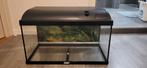 Aquarium, Ophalen, Gebruikt, Leeg aquarium