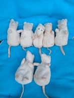 IKEA MUIS MUS KLEIN VELOURS WIT MET HUIDSKLEUR NEUSJE HANDJE, Kinderen en Baby's, Speelgoed | Knuffels en Pluche, Verzenden, Nieuw