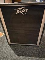 Peavey basversterker/ luidspreker, Muziek en Instrumenten, Versterkers | Bas en Gitaar, Ophalen, Gebruikt, Minder dan 50 watt