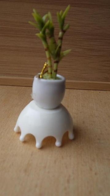 Poppenhuis: Hoogglans Schaal beschikbaar voor biedingen