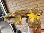 Decoratiesteen aquarium, Dieren en Toebehoren, Vissen | Aquaria en Toebehoren, Ophalen, Zo goed als nieuw