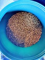 Royal Canin Britse Korthaar Kattenvoer (+-9kg), Dieren en Toebehoren, Ophalen, Kat