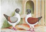 MODENA gazzi DUIF naar tekening van C S Th van Gink, Verzenden, 1940 tot 1960, Ongelopen, Vogel