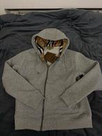 Burberry Trui - Stijlvol en Comfortabel, Ophalen of Verzenden, Nieuw, Maat 46 (S) of kleiner, Grijs