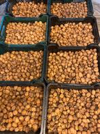 30 kilo verse walnoten, Ophalen of Verzenden