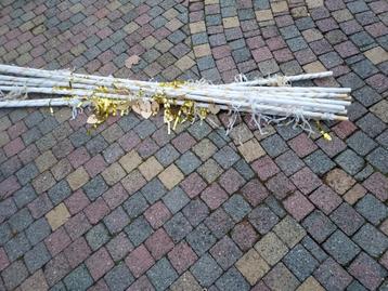 Gratis Bruiloft Bogen beschikbaar voor biedingen