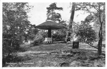 (388-366-035) Driebergen-Rijsenburg De Paddenstoel beschikbaar voor biedingen
