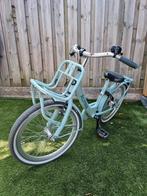 Kinderfiets Alpina Clubb 20inch mint groen, Ophalen, Zo goed als nieuw, 20 inch of meer