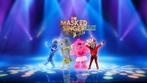 2 tickets Masked Singer avondshow!, Twee personen