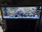 Groot compleet aquarium met toebehoren 180x60x60, Ophalen, Gebruikt, Gevuld zoetwateraquarium