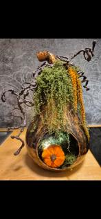 Herfst decoratie verlichte hoge glas pompoen terrarium, Ophalen of Verzenden, Nieuw